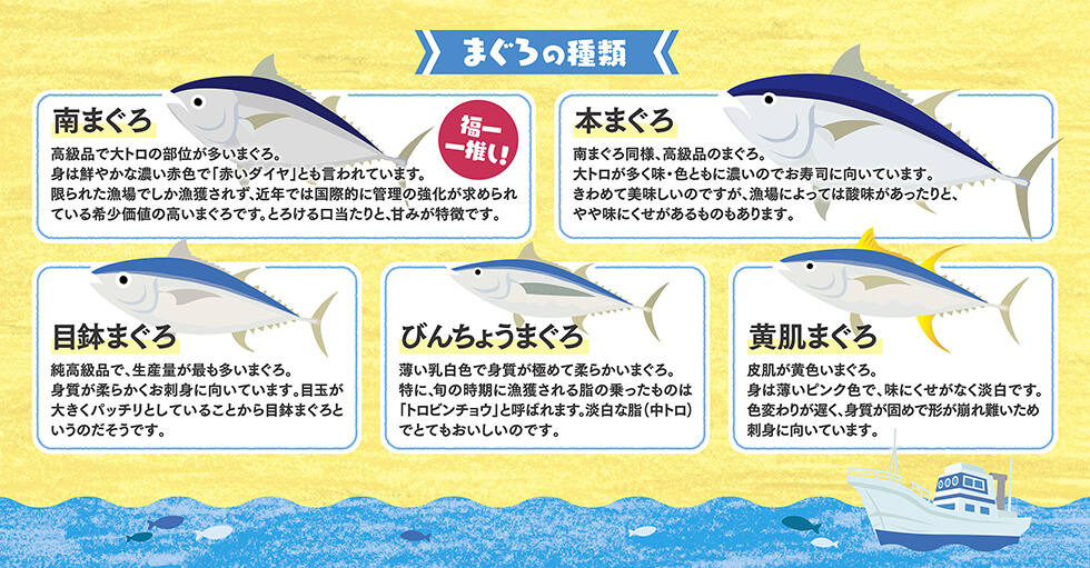 まぐろの種類