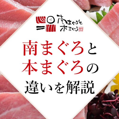 南まぐろと本まぐろの違いを解説