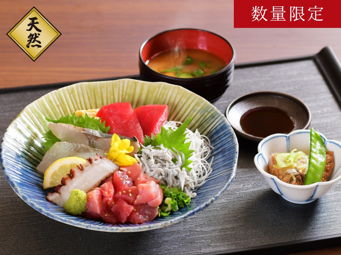 【月替わりB】海鮮丼